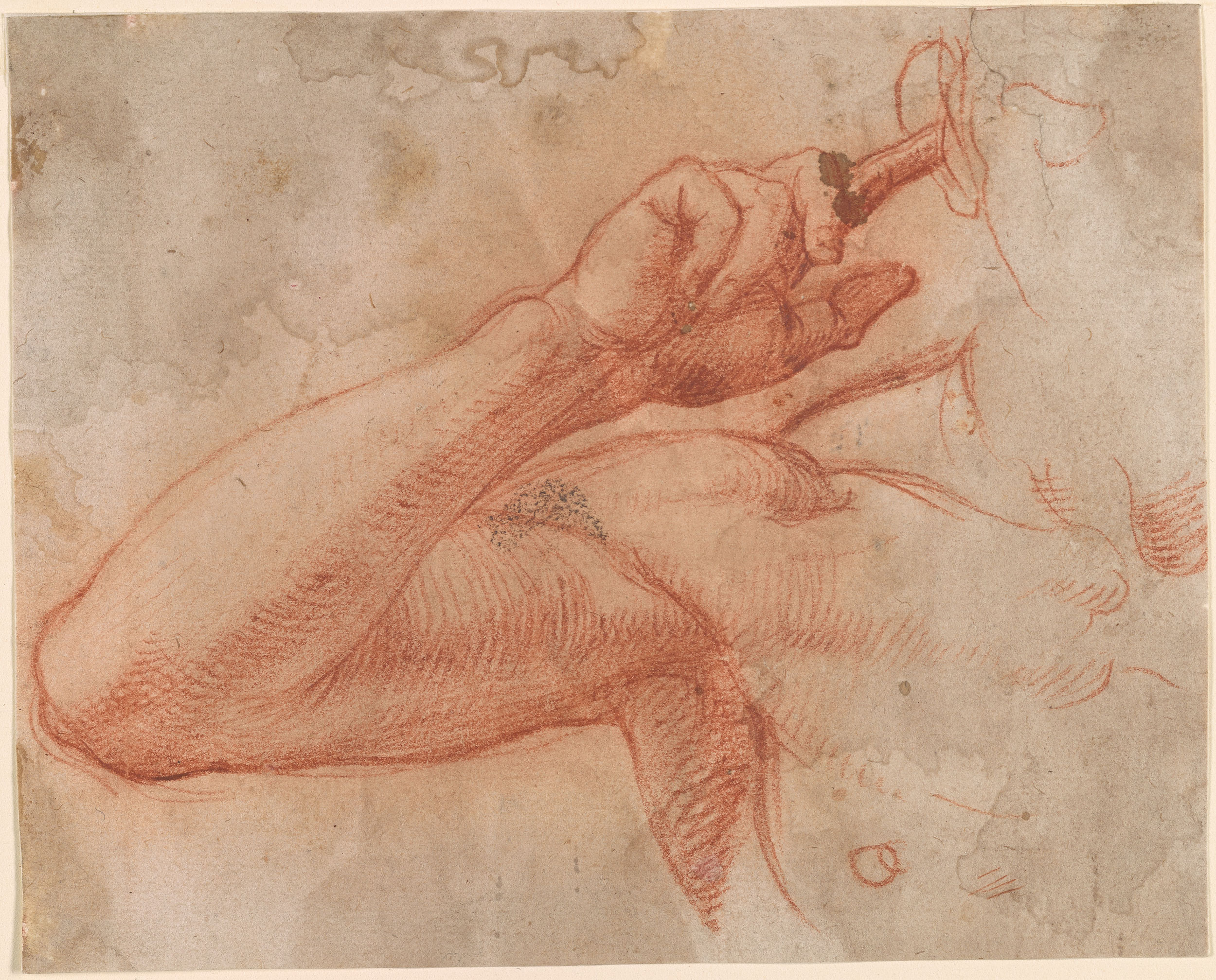 image6